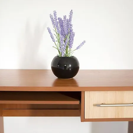 House Stjepan * Krusvar